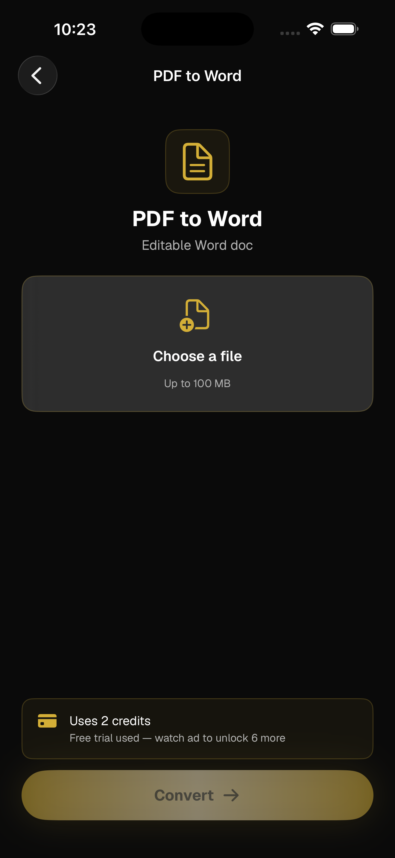 FastlyConvert iOS PDF to Word screen
